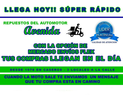 Nacional Tapa Distribucion Inferior Exterior VW Gol AB9 Power 1.6Audi 3