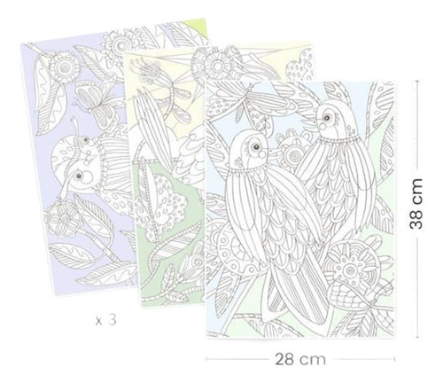 Lamina Coloring Sheets Gallery Birds Djeco 3