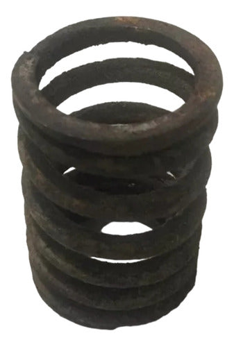 Valve Spring 52 x 35 mm 0