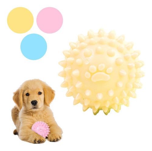 Pawfy Hedgehog Ball Toy for Dogs 5 cm Various Colors 1