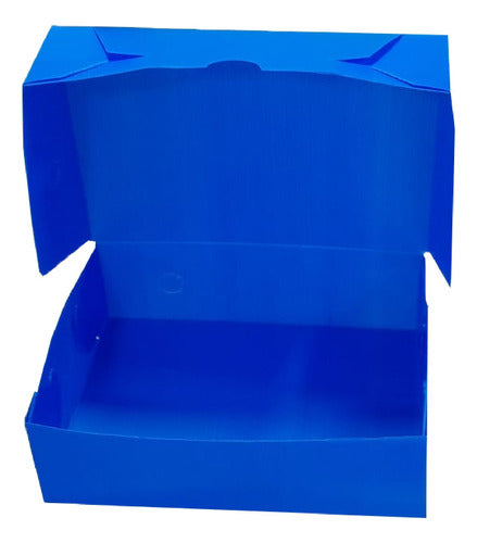 Cartonplast Caja Archivo Plástica Azul Oficio Tv 36x25x12cm 5