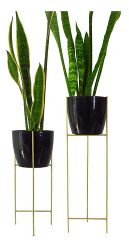 Combo-2 Treben 27 Plant Pot Stands 4560 Gold + 2 D27 Pots 1