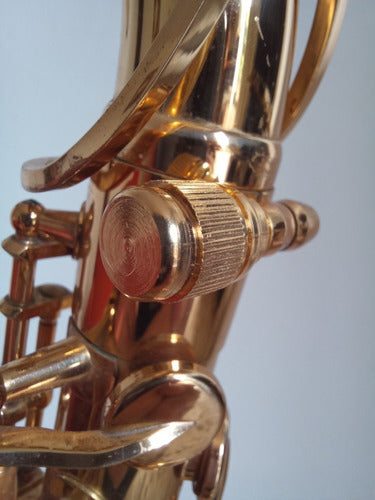 DS Heavy Saxophone Neck Screw - Selmer, Jupiter, Mauriat, and More 1