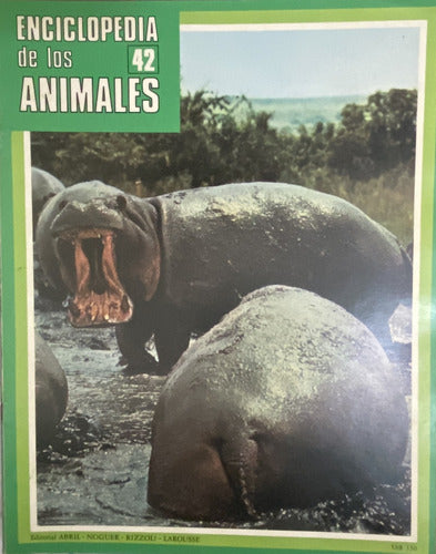 Lote De 34 Fascículos De La Enciclopedia De Los Animales Ej4 7