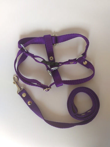 Adjustable Harness with Leash Size 2 for Medium Dogs 4