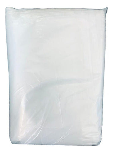 Polyethylene Bags 20 cm X 25 cm 50 Microns x 100 Units 2