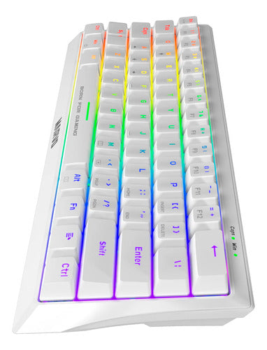 Marvo KG962 Mechanical Keyboard White - Tecnobox 4