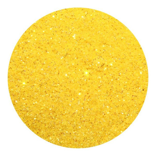Fine Iris Glitter Powder X 100g 7