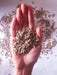 Peeled Sunflower Seeds 500g by Belvedere 3