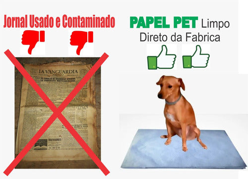 Tapete Jornal P/ Cães Aves 300uni Papel Limpo Pet 38 X 55cm 2