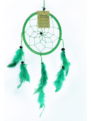 Handmade 12cm Diameter Dreamcatcher with Feathers 2