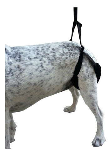 LORVET Harness for Dog Dysplasia, Canine Orthopedics 1