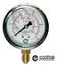 Codital Manometer With Glycerin Filling 0 To 10 Bar (kg) 1/4" Connection for Irrigation 1