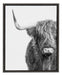 Kate and Laurel Sylvie Highland Cow Portrait in Black and White 0