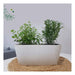 Gemplast Decorative Rectangular Planter 5L 34x14x13cm 7