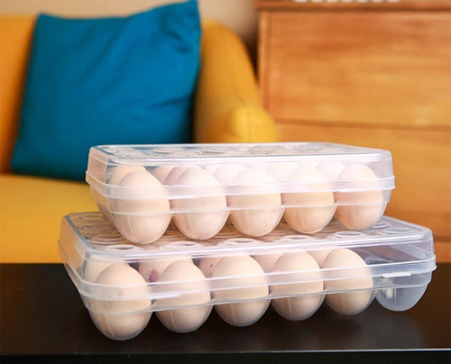 Plastic Egg Holder Tray X 15 with Transparent Lid and White Base by Pettish Online 8