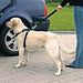 Trixie Medium Dog Safety Harness and Seatbelt 7