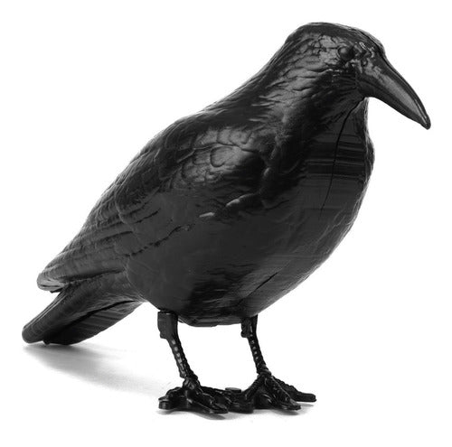 12 Raven Deter Pigeons Scarecrow Complete Box 5