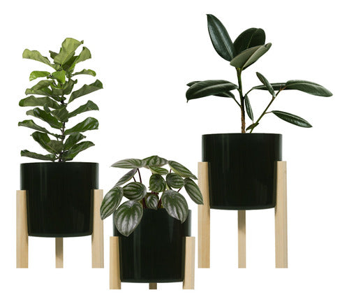 Eggys Nordic Planters with Wooden Legs X 3 5