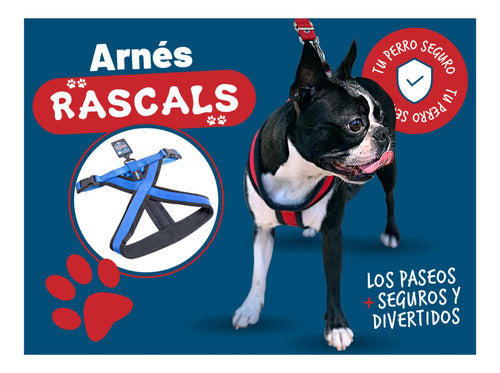 Padded Premium Large Dog Harness Rascals 5
