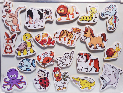 Finix RS Wooden Animal Figurine Magnets - 20 Pieces 2