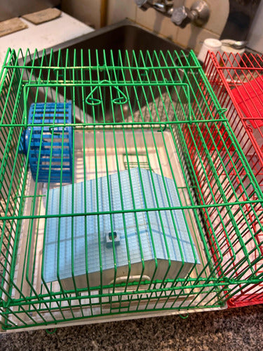 Hamsteras Importada De Dos Pisos 6