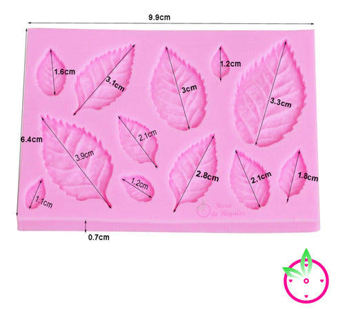 Hora de Regalos Silicone Mold Insert 12 Leaf Ribbed 3D Fondant 2