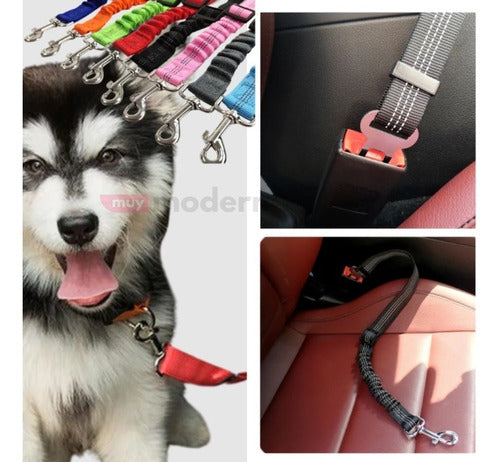 Muymo® Adjustable Dog Seat Belt 4