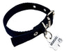 MEDALLAS PARA PERROS Chapita Identificatoria Perro Gato Trebol + Collar Negro 2cm 0