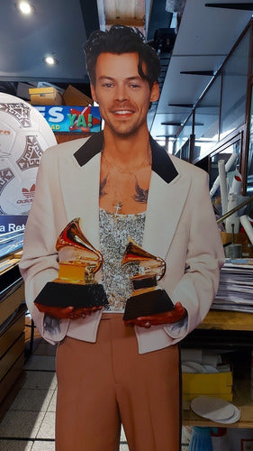 Silueta Corporea Harry Styles Grammy 2023 Envio Gratis 3