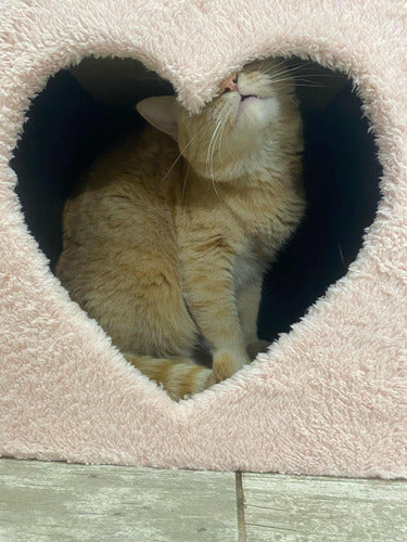 Heart-shaped Cat Scratcher House 3