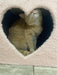 Heart-shaped Cat Scratcher House 3