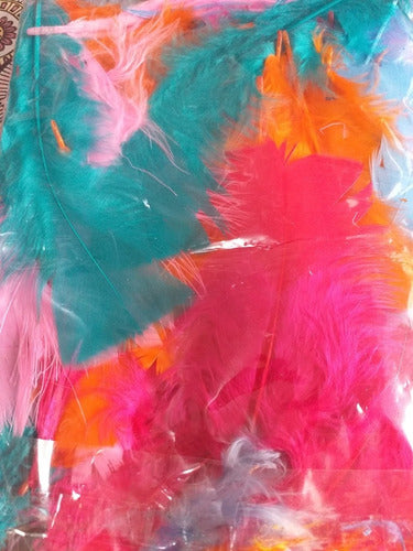 Assorted Colorful Feathers 10 Cm 4