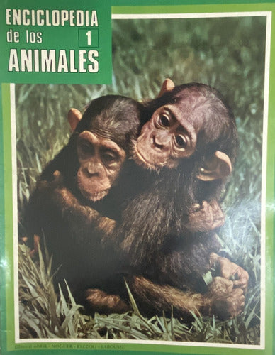 Lote De 34 Fascículos De La Enciclopedia De Los Animales Ej4 0