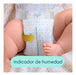 Pampers Deluxe Protection Diapers Size P x36 - Iaruchis Baby 1