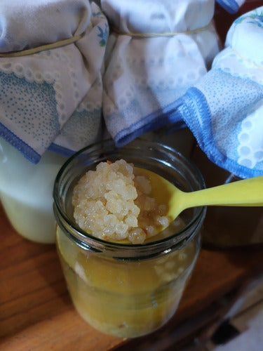 Kefir De Agua, Nódulos De Kefir, Tibicos, Yoca De Agua 0