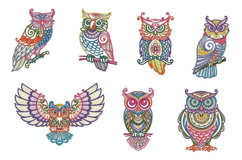 Colorful Owl Embroidery Designs for Embroidery Machine - Customizable 0