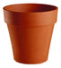 Blum Terracotta Common Pot N°52 Eco Deco for Succulents 0