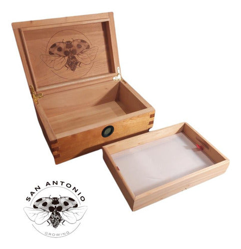 San Antonio Growing Caja De Curado Humidor Cedro XL Hashera 1