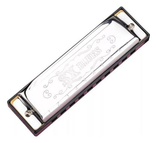 SX Diatonic Harmonica Set - 12 Notes + Case 3