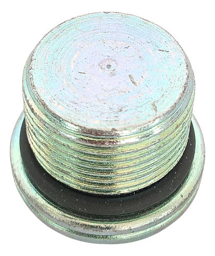 Plug, Hex Socket Iveco 4895080 1