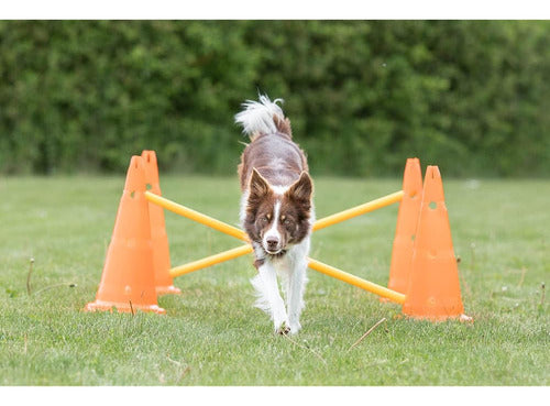 Trixie Dog Agility Hurdle Cone Set, Portable Canine Agility 1