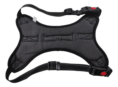 Gordini Shop Lightweight Harness for Dogs Size XL 4