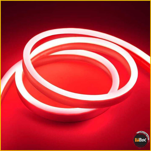 Lubox Flexible Neon LED Hose 12V Per Meter Outdoor/Indoor 1