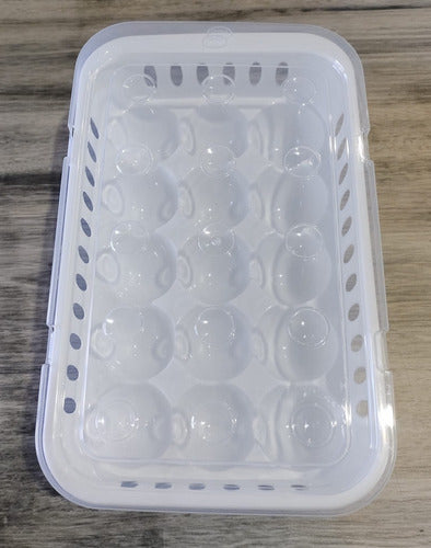 Plastic Egg Holder Tray X 15 with Transparent Lid and White Base by Pettish Online 6