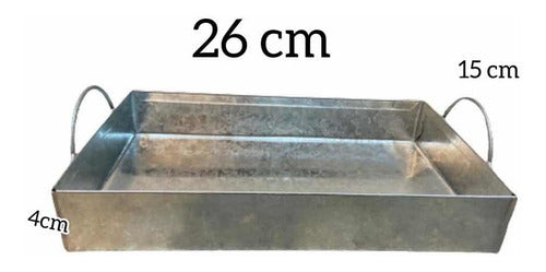 Galvanized Zinc Tray with Handle 26x16 1