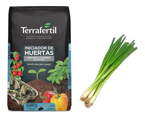 Sustrato Huerta Terrafertil 10lts Semillas De Cebolla Verdeo 0