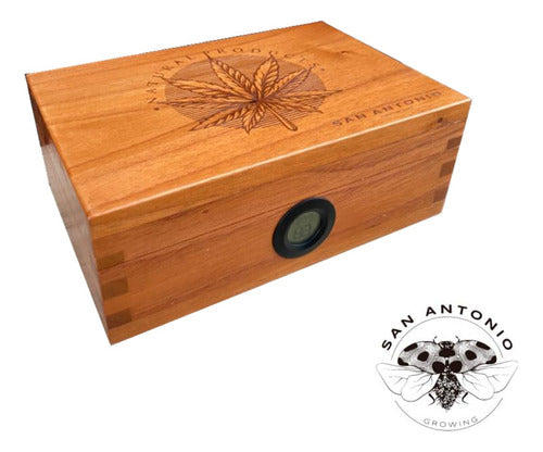 Caja De Curado Humidor Cedro San Antonio Growing Xs Division 1