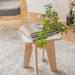 Wooden Stools Various Colors Design + Free Shipping 2