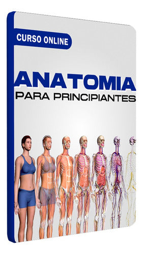 CurSitos Curso De Anatomía Para Principiantes 0